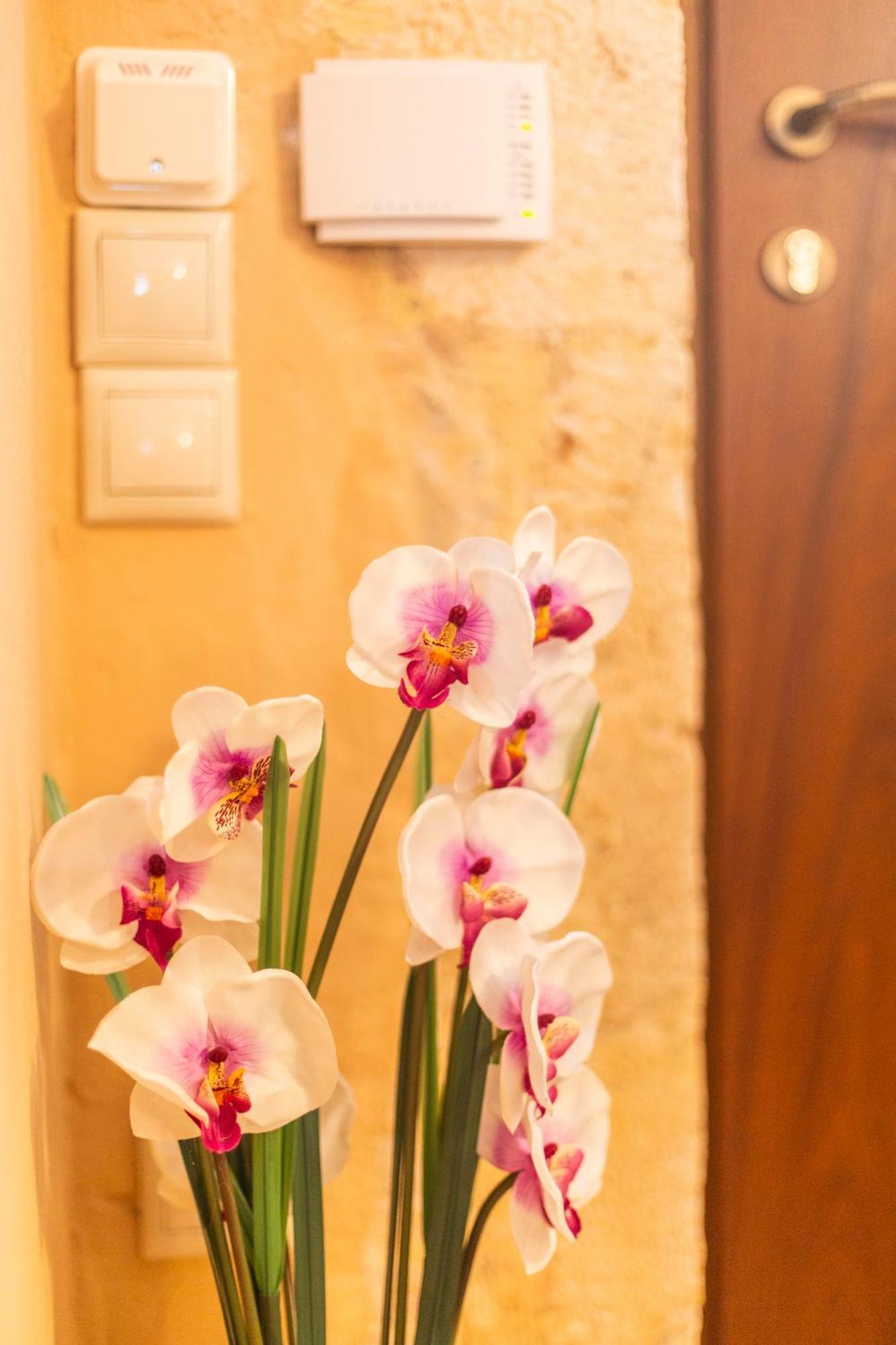 Apartamento Athena'S House La Canea Exterior foto